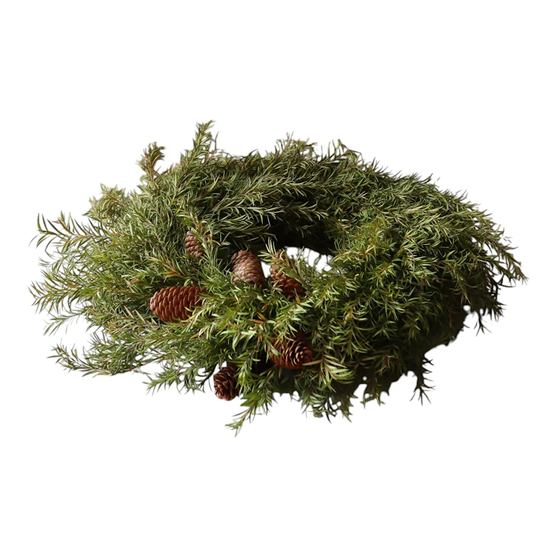 Pine Kranz