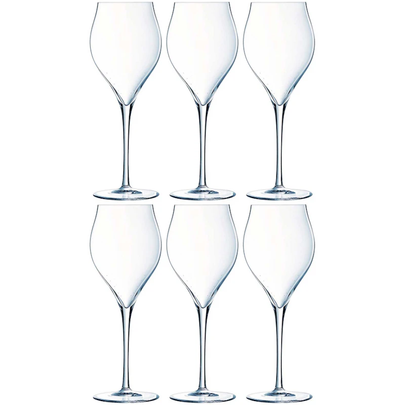 Exaltation Champagnerglas 30 cl Transparent, 6-er Set