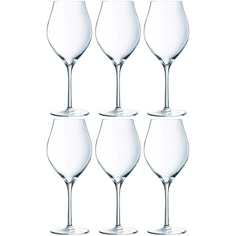 Exaltation Weißweinglas 38 cl Transparent, 6-er Set