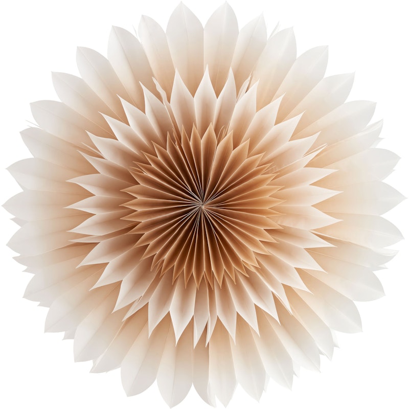 Lily Papierstern Golden Beige, 50 cm