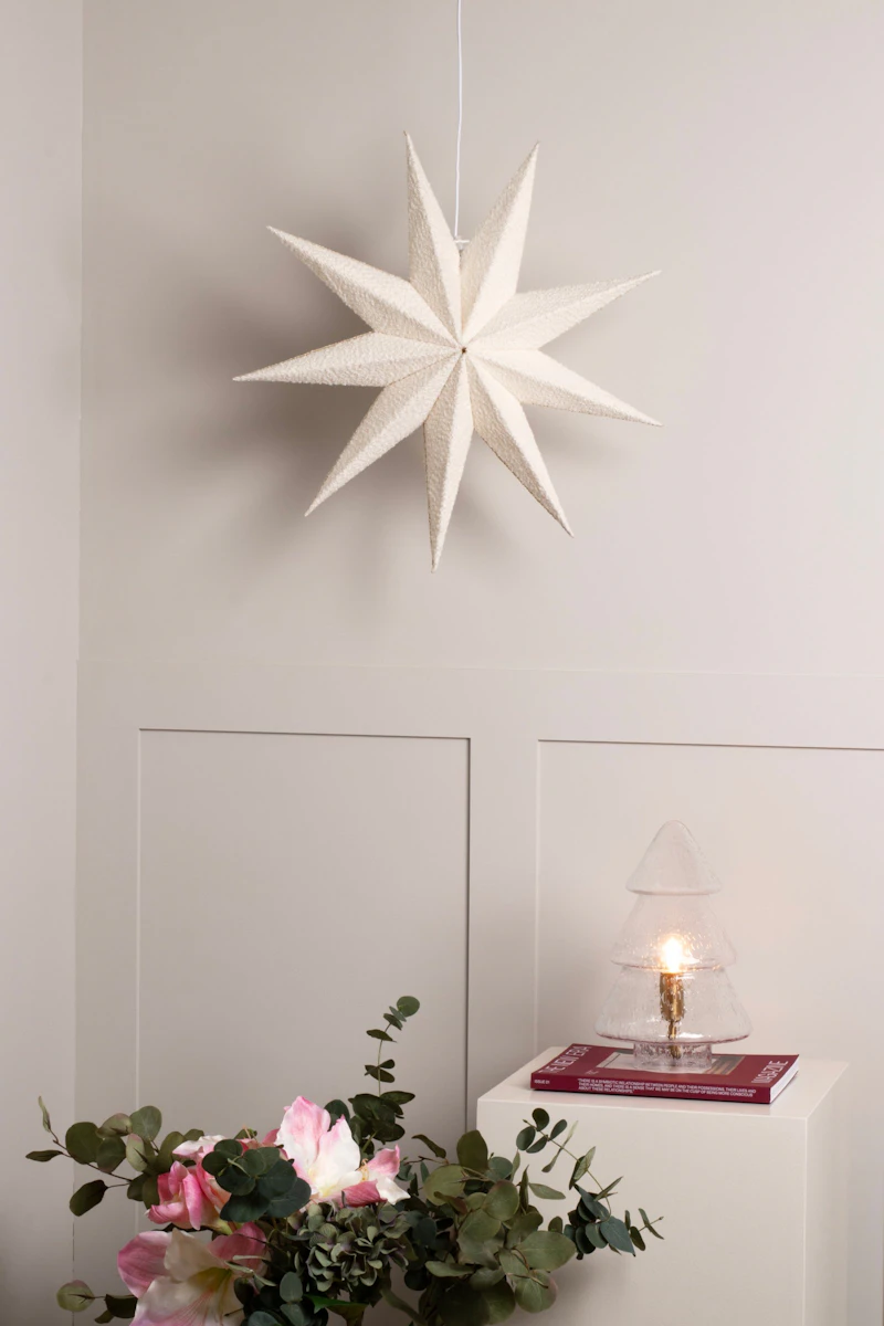weihnachtsstern wann kaufen Weihnachtsstern | kaufen