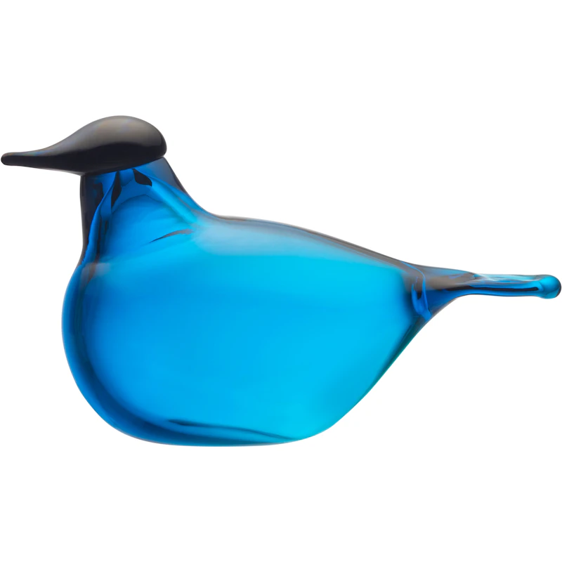 Chiffchaff Glasvogel, Türkis