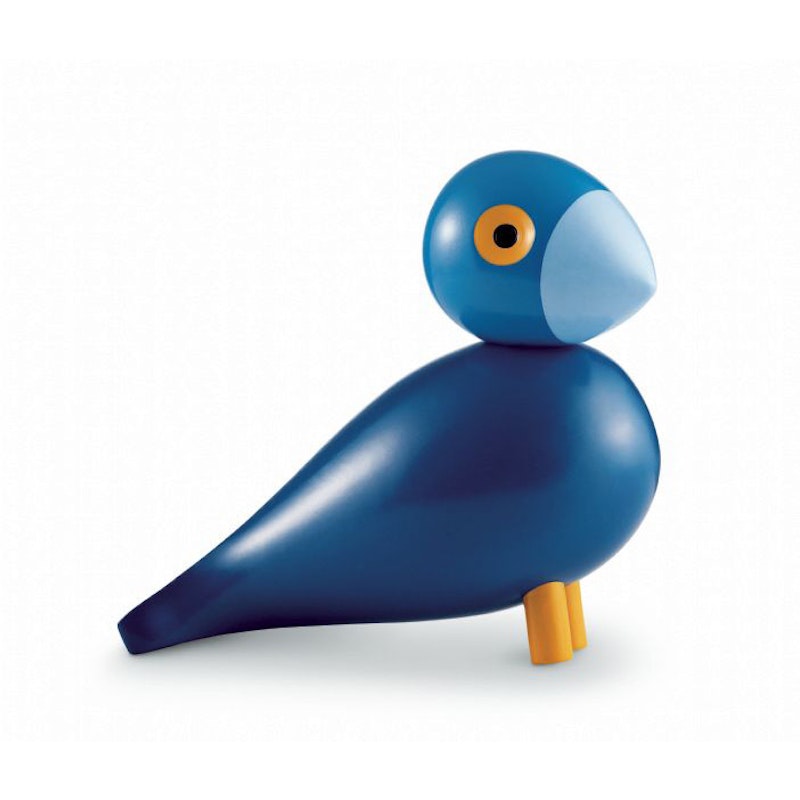 Singvogel, Kay