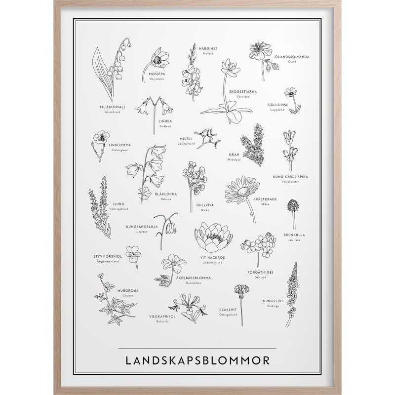 Landscape Flowers Poster, 50x70 cm