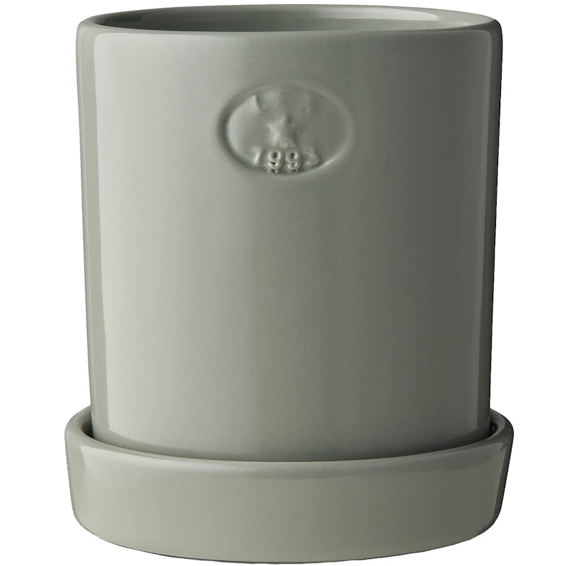 Topf Mit Unterteller H18 cm, Eucalytus