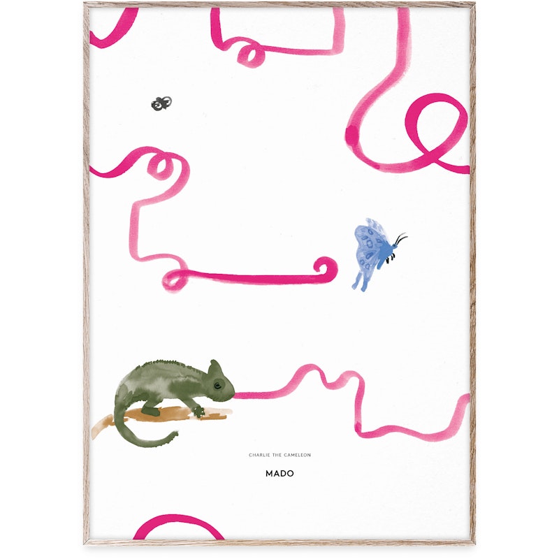 Charlie the Chameleon Poster, 50x70 cm