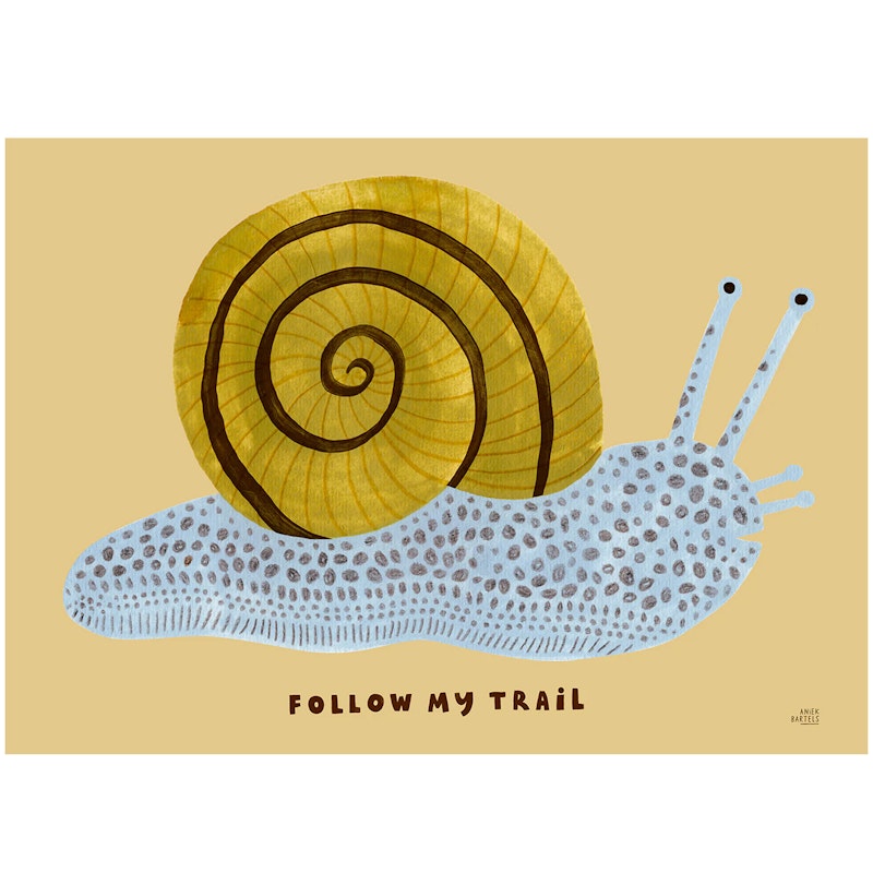 Follow My Trail Poster 50x70 cm