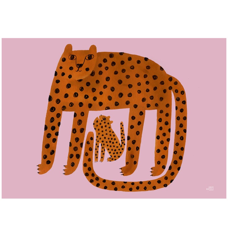 Leopards Poster 30x40 cm