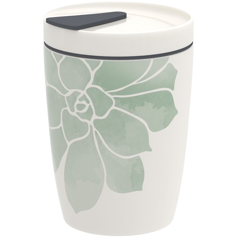 Coffee To Go Tasse 29 cl, Socculente