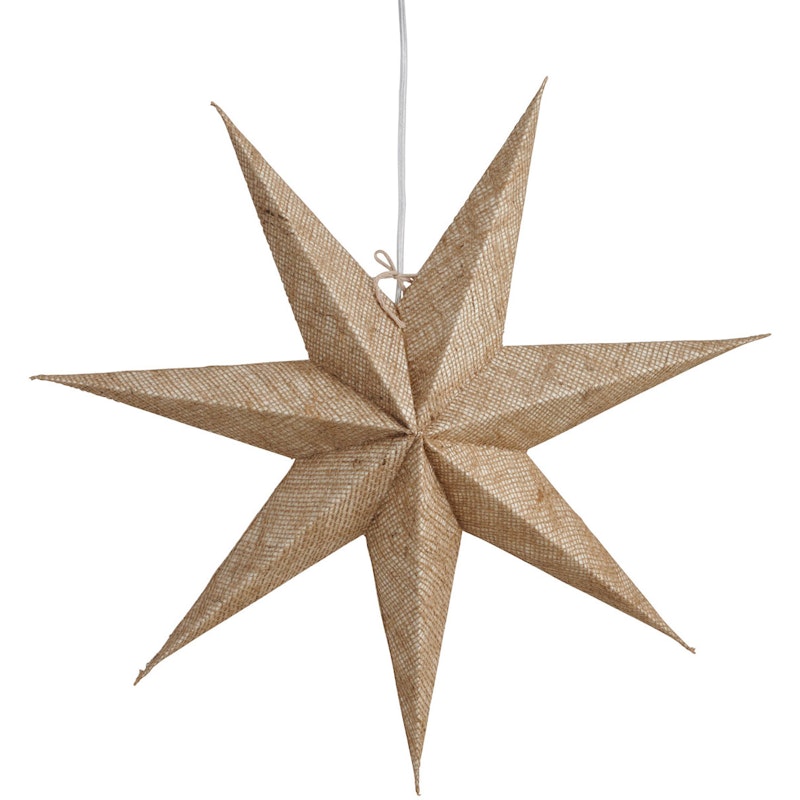 Vera Weihnachtsstern Natur, 60 cm