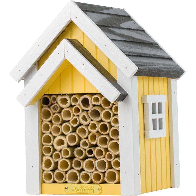 Bee Hotel, Yellow